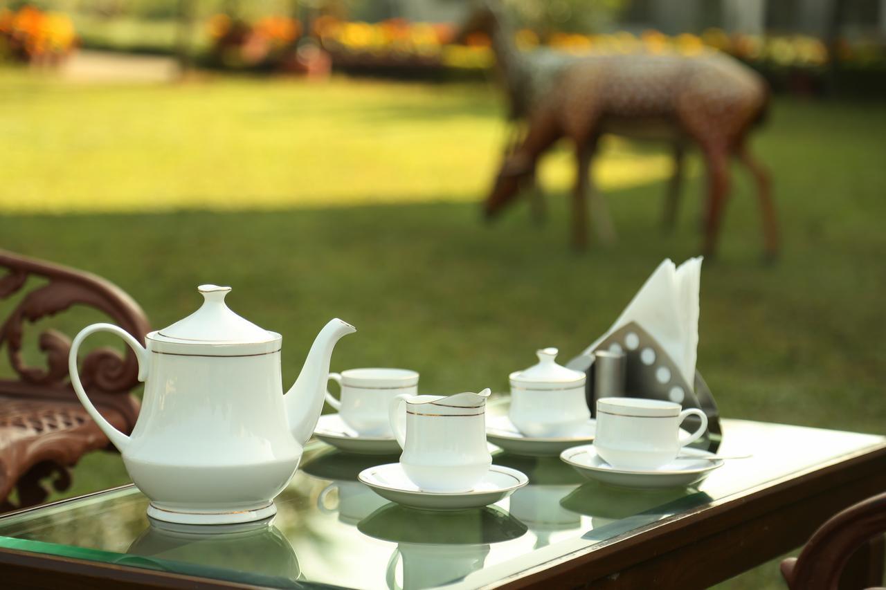 Отель Naturoville Ayurvedic And Yoga Retreat Ришикеш Экстерьер фото