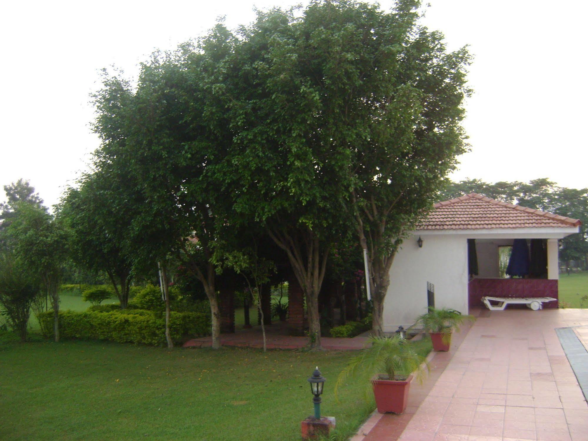 Отель Naturoville Ayurvedic And Yoga Retreat Ришикеш Экстерьер фото